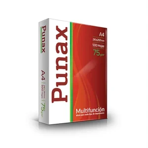 PUNAX e1710958355366
